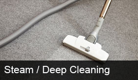 Deep Cleaning and Steam Cleaning Services in Manchester, North West - newdaycleaning.co.uk